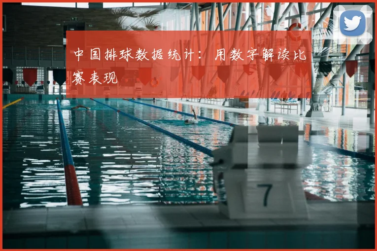 中国排球数据统计:用数字解读比赛表现