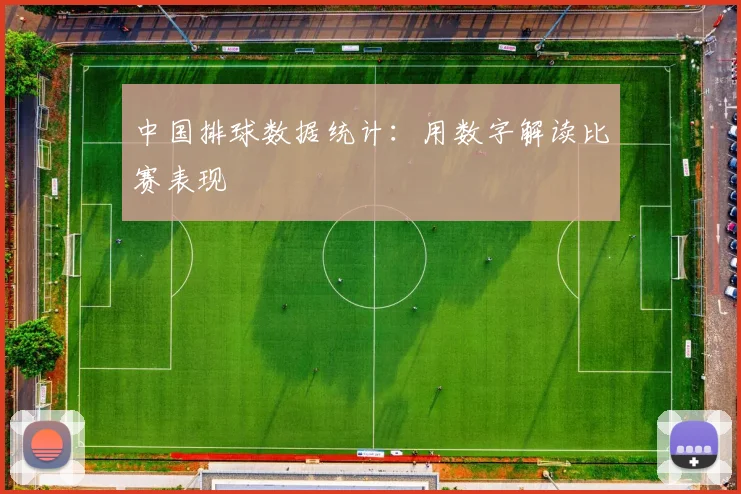 中国排球数据统计：用数字解读比赛表现