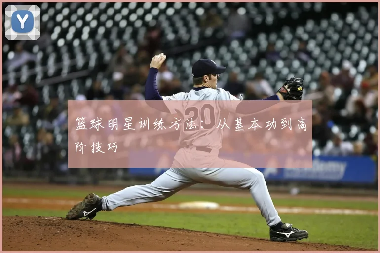 篮球明星训练方法:从基本功到高阶技巧